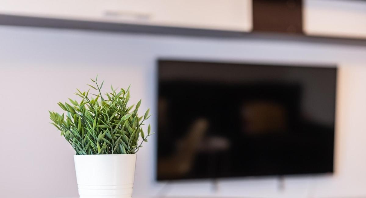Adaptado Y Comodo Apartamento En Iturrama Pamplona Luaran gambar